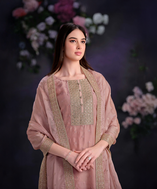 Organza Light Pink Salwar Kameez — Light Pink — Immediately available