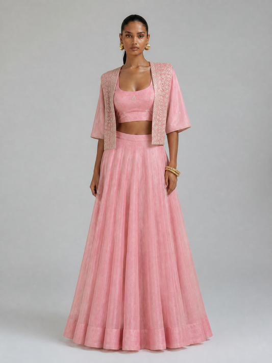 Allnen Crush Lehenga Choli – Sequin & Stickerei Collection