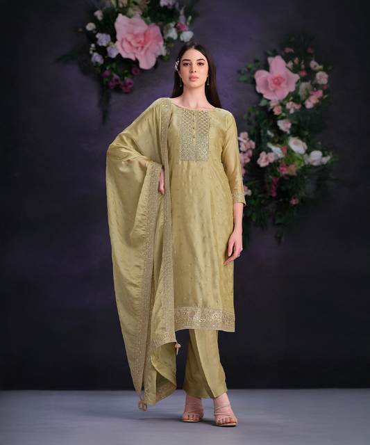 Organza green salwar kameez